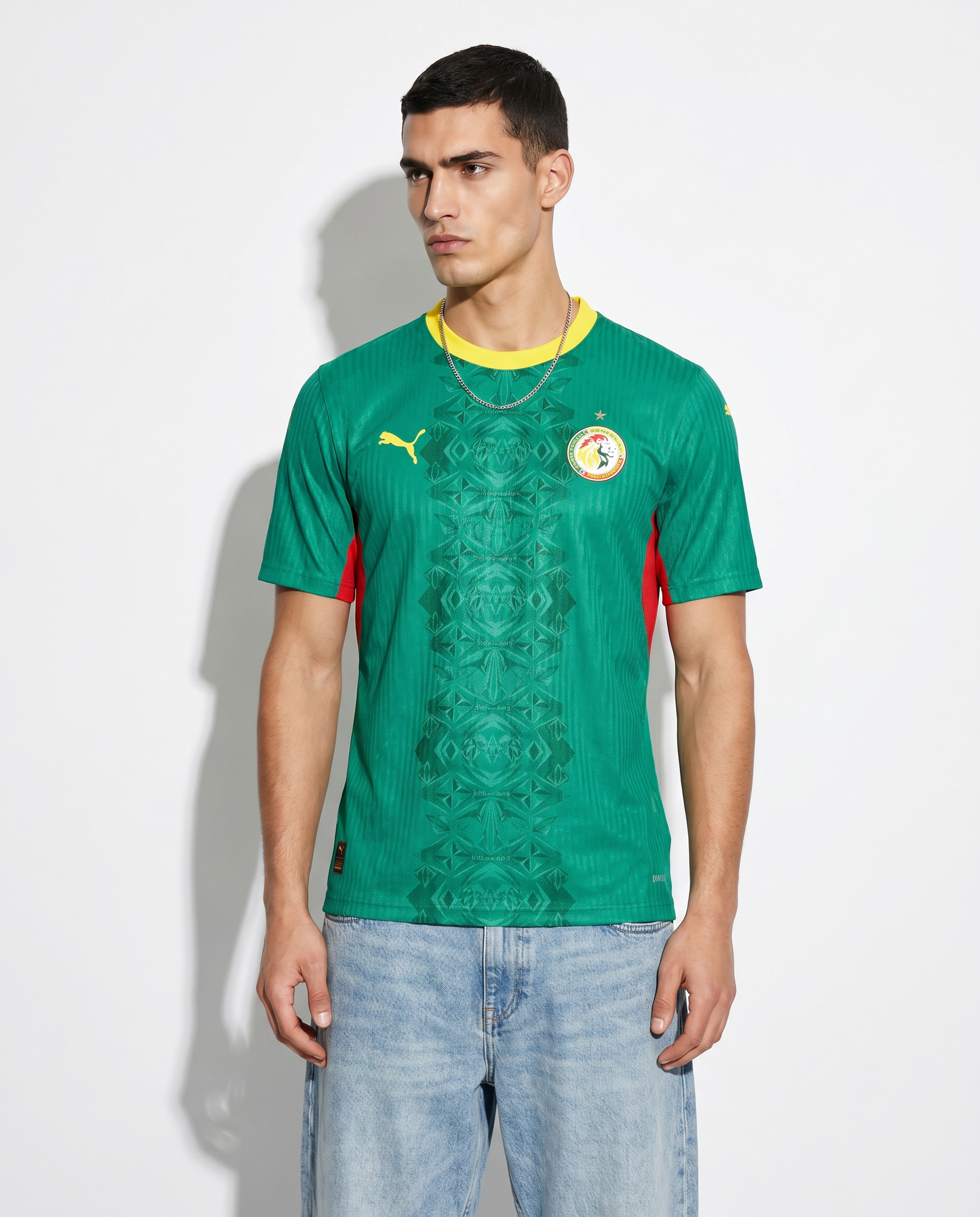Senegal 2026 World Cup Home Jersey — The Lions of Teranga - Gallery 1