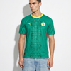 Senegal 2026 World Cup Home Jersey — The Lions of Teranga